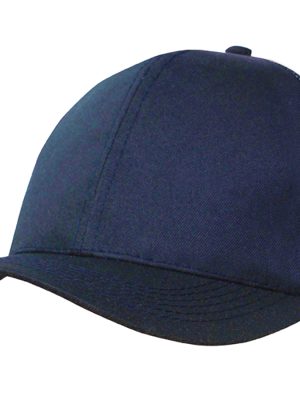 Organic brushed Heavy Cotton/Mesh Back Cap