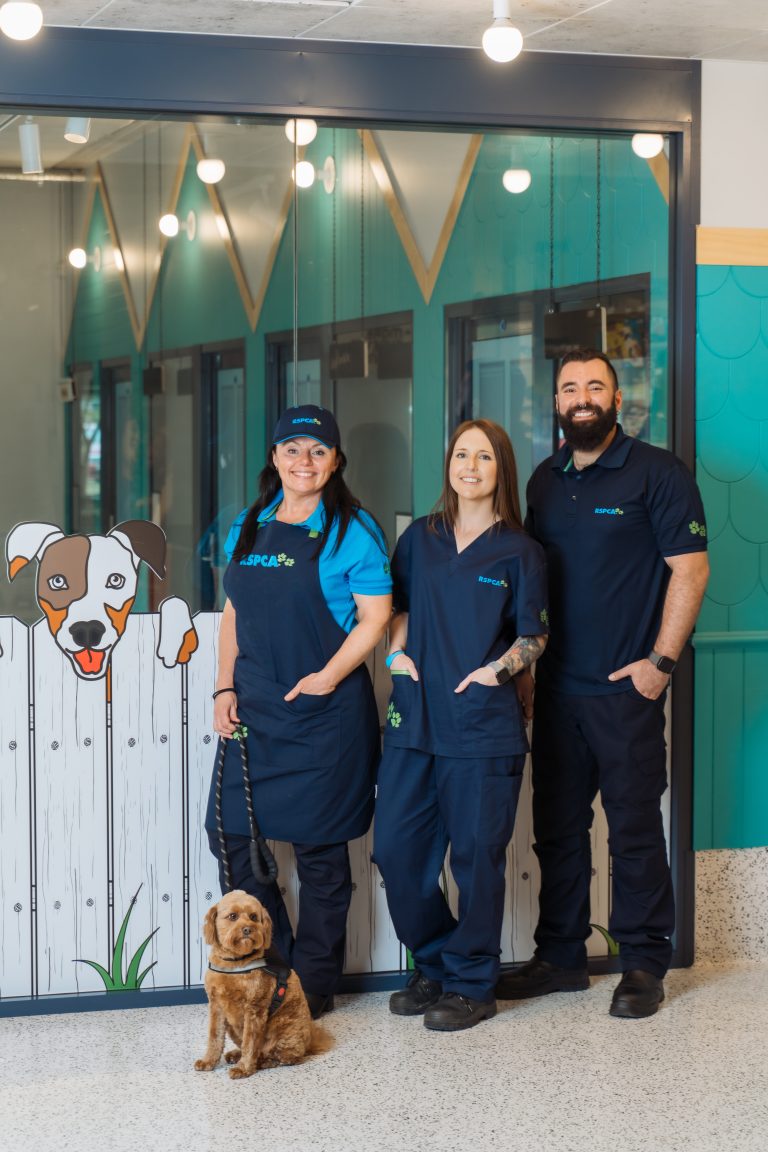 RSPCA shot of scrub, rangers and chef uniform