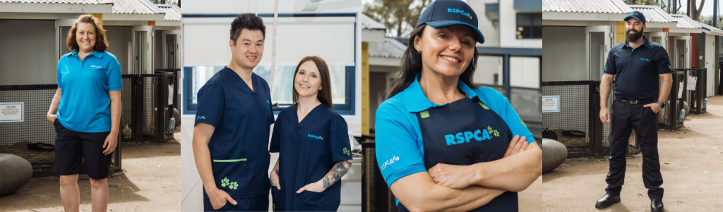 RSPCA Banner